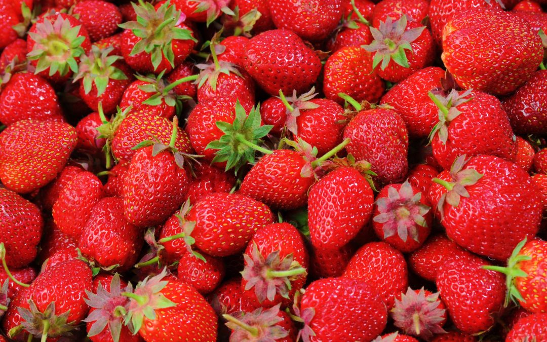 Erdbeeren: Pestizide statt Bio