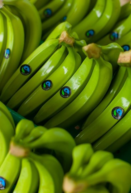Lidl: Heiße Luft um Fairtrade