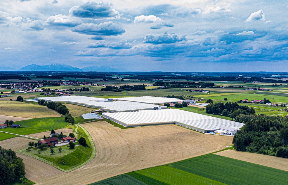 CO2-freier Gemüseanbau