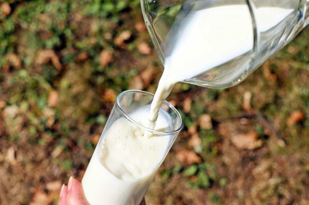 Bio-Milch: Preise sinken weiter