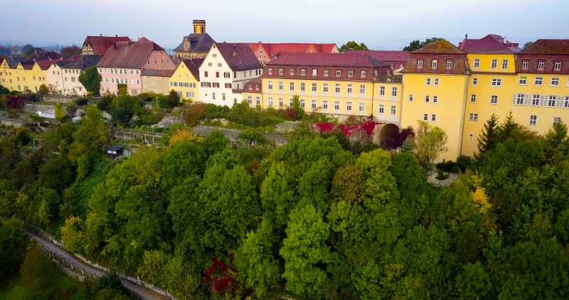 World Organic Forum: Neuer Termin