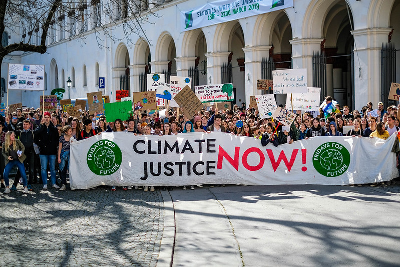Klimastreik im Netz
