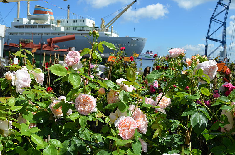 Flair am Meer erst 2021