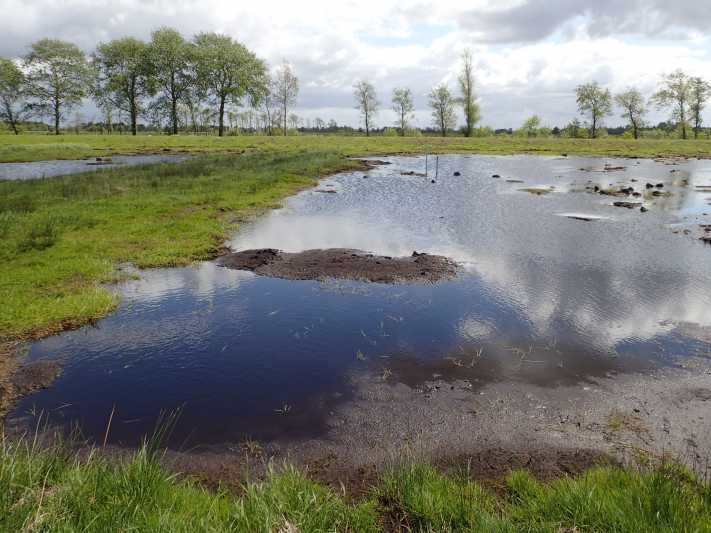 50.000 Euro für den Klimaschutz