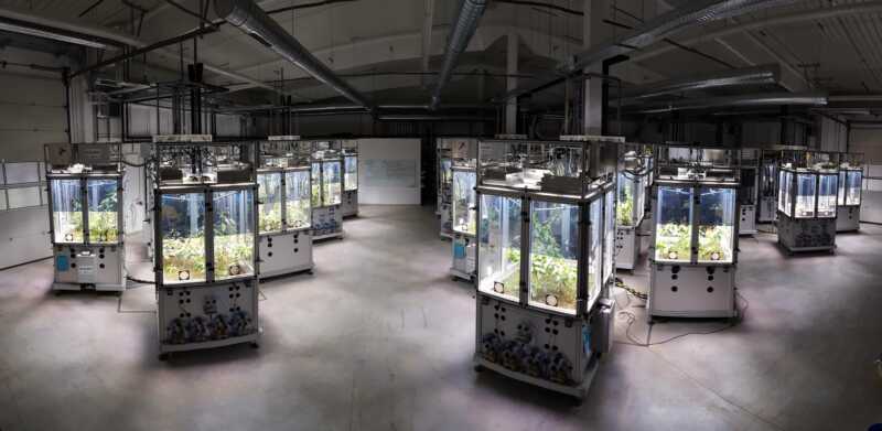 Uni Jena: Weniger Insekten, andere Blühphasen