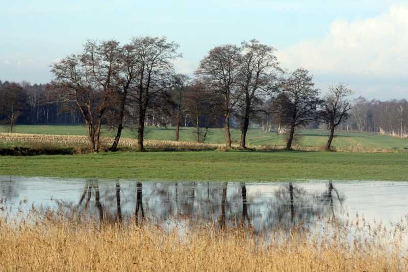 Bio holt in Niedersachsen auf