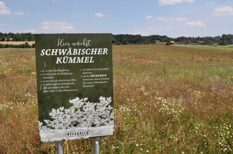 Biohof Jungbauer