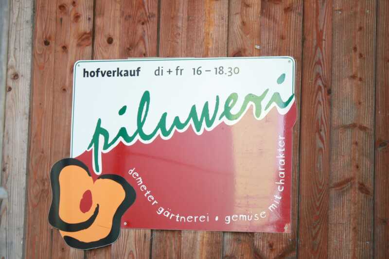 Piluweri