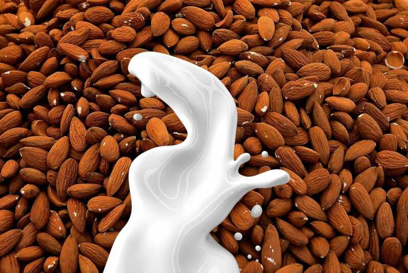 Streit um Milch-Alternativen