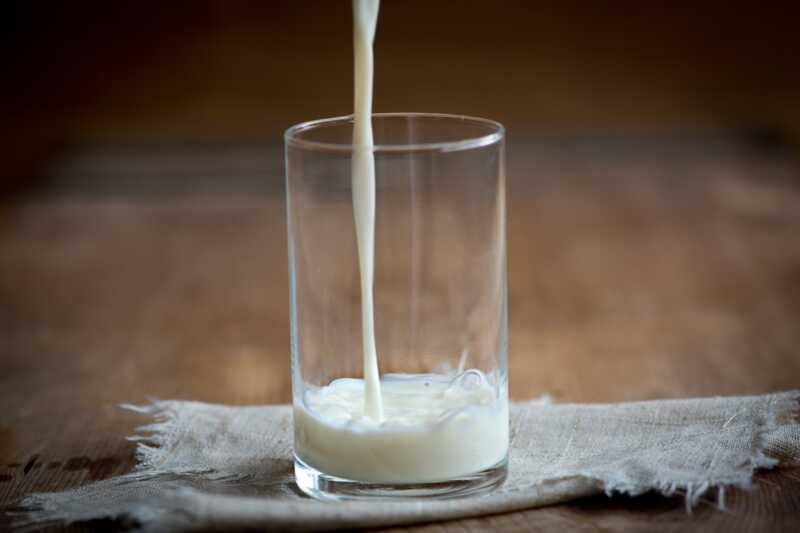 Greenpeace: Bio-Milch gesünder als konventionelle