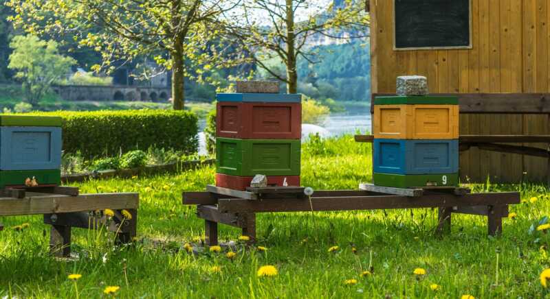 Tagung für mehr Biodiversität im LEH