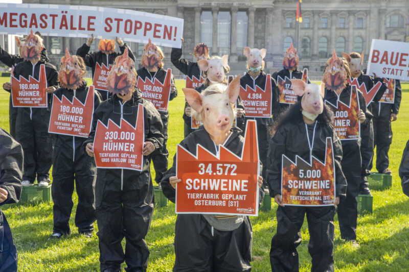 Demo in Berlin für Aus von Megaställen