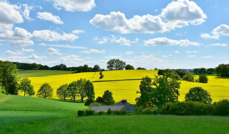 Zwölf Prozent mehr für Bio-Landwirte