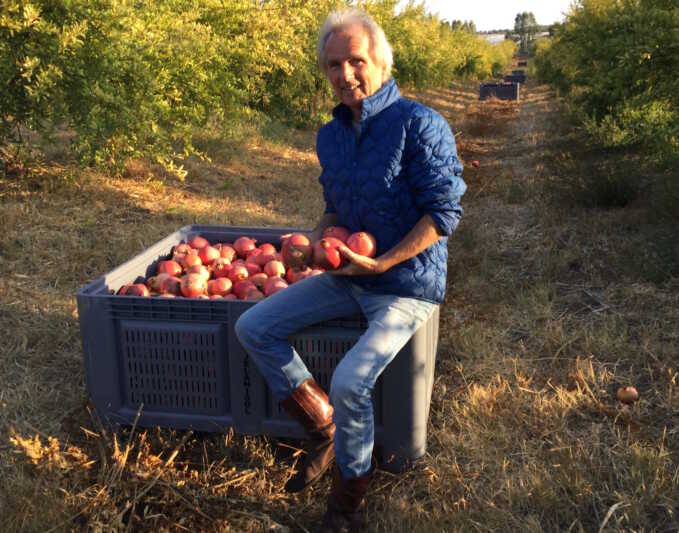 Lehmann Natur geht an Bivano