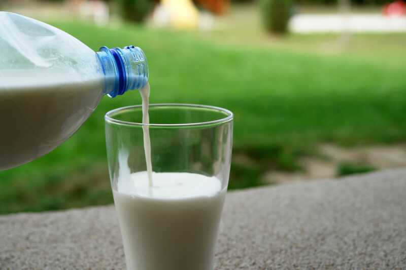 Bio-Milch: Preise klettern weiter