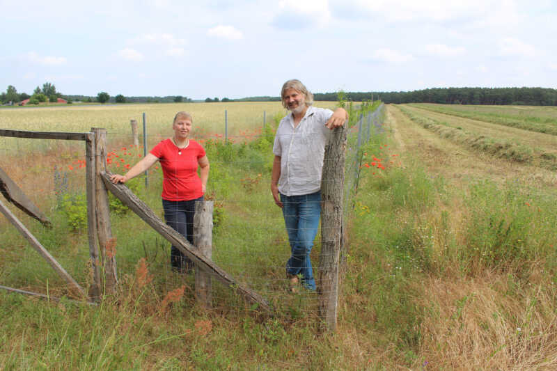 Naturland: Agroforst-Projekt auf 120 Hektar