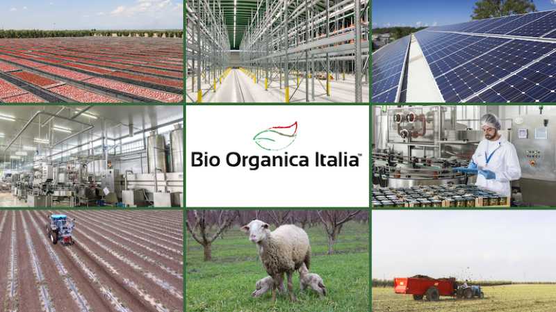 Bio Organica Italia: Genießer-Feinkost aus Apulien