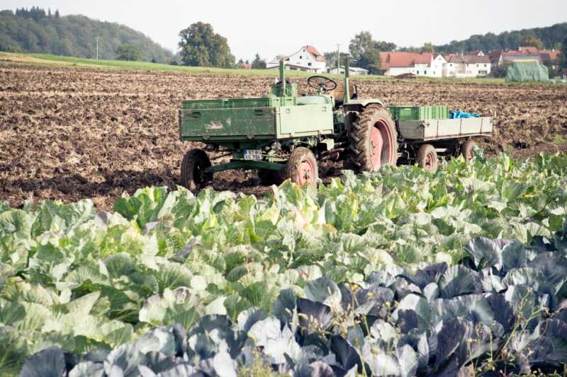 Biodiversität auf den Höfen fördern
