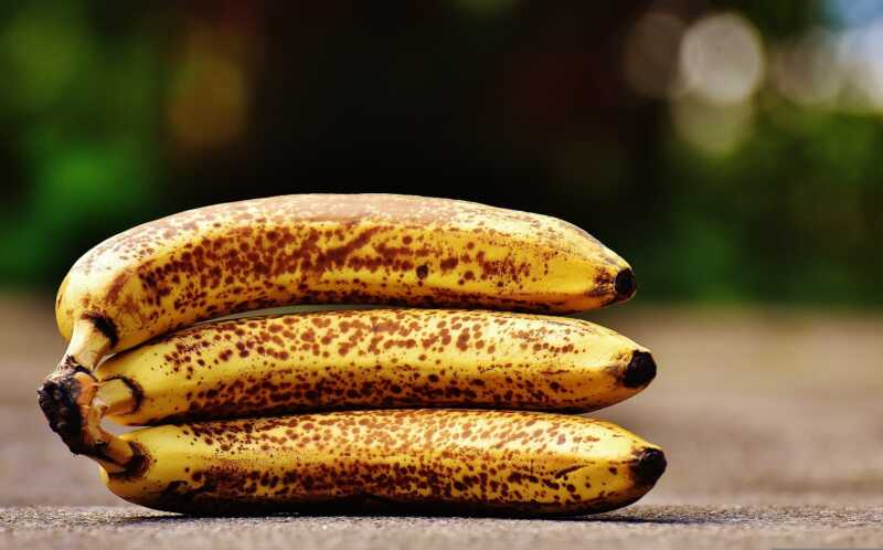 Food Waste: Elf Millionen Tonnen landen im Müll