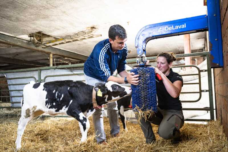 Mitmachen: Landwirt für einen Tag