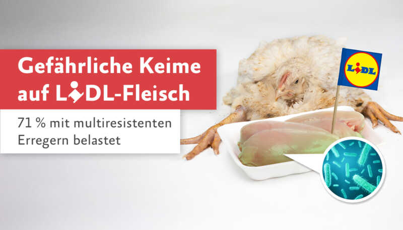 Neuer Fleisch-Skandal bei Lidl