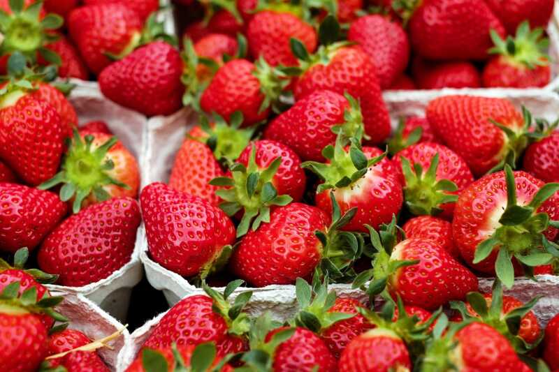 Spanische Erdbeeren: Appell für Verkaufsstopp