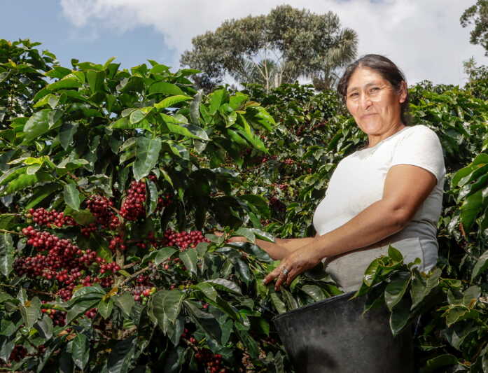 Fairtrade: Umsatz steigt auf über zwei Milliarden Euro