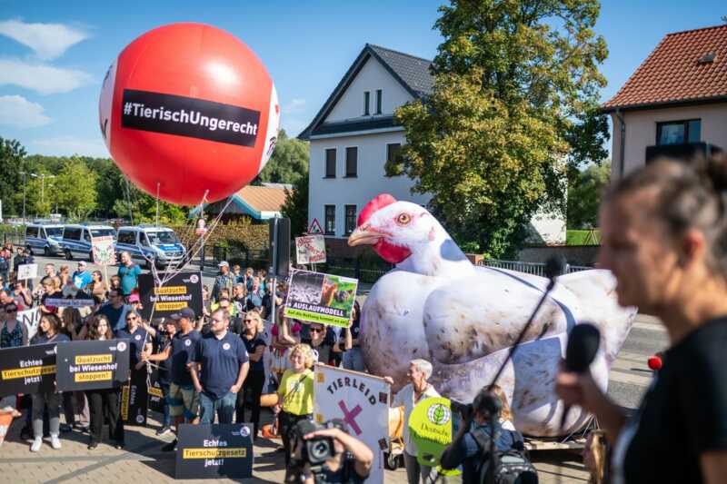 Demo gegen Megaställe bei Wiesenhof