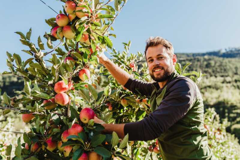 Vinschgau: Zehn Prozent Plus bei Bio-Ernte